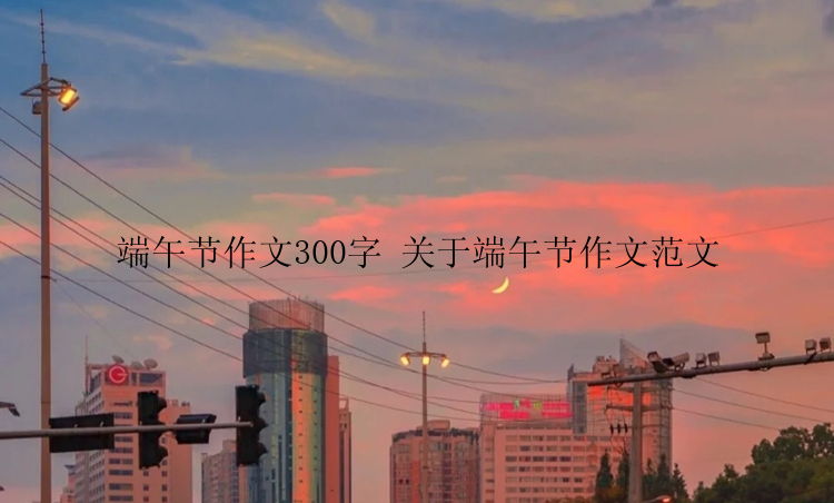 端午节作文300字 关于端午节作文范文