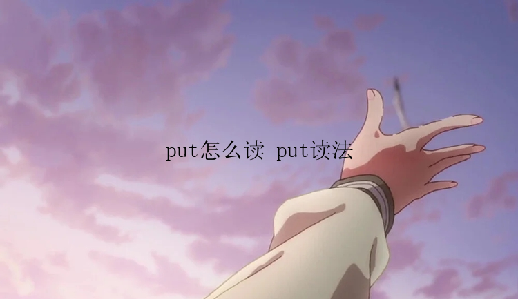 put怎么读 put读法