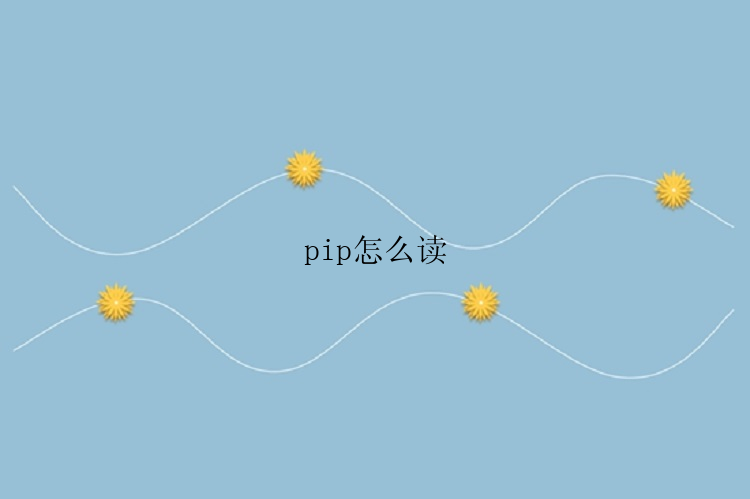 pip怎么读