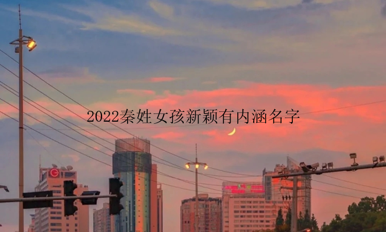 2022秦姓女孩新颖有内涵名字