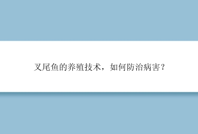 叉尾鱼的养殖技术，如何防治病害？