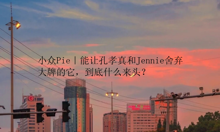 小众Pie｜能让孔孝真和Jennie舍弃大牌的它，到底什么来头？