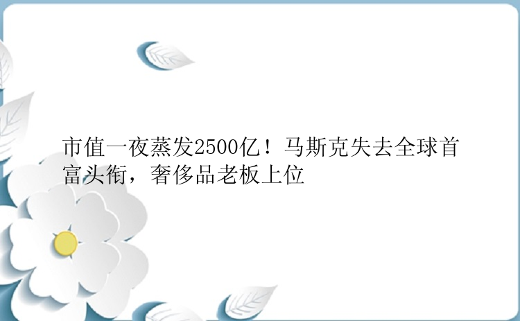 市值一夜蒸发2500亿！马斯克失去全球首富头衔，奢侈品老板上位