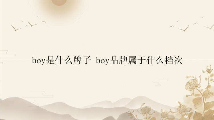 boy是什么牌子 boy品牌属于什么档次