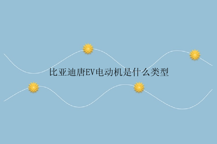 比亚迪唐EV电动机是什么类型