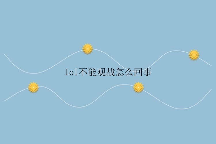 lol不能观战怎么回事