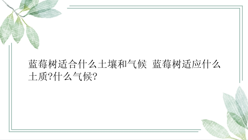 蓝莓树适合什么土壤和气候 蓝莓树适应什么土质?什么气候?