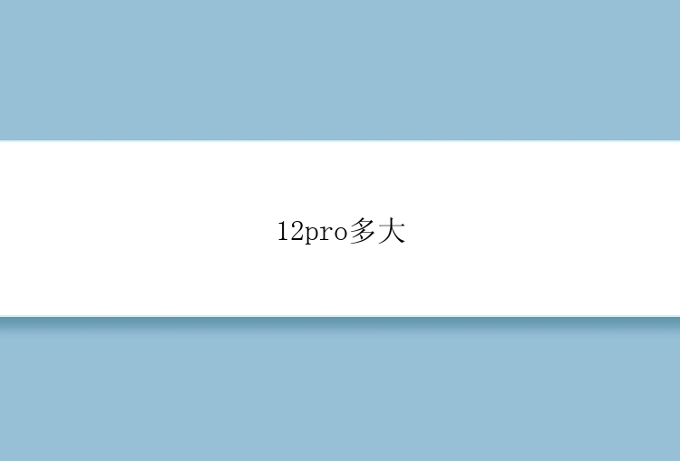 12pro多大