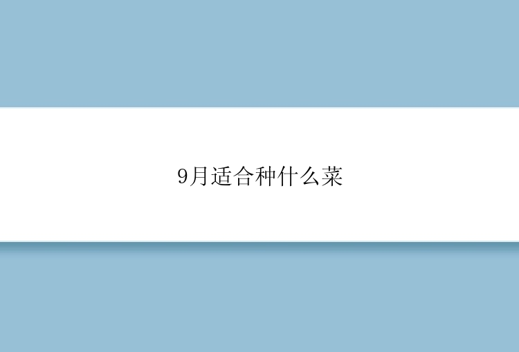 9月适合种什么菜