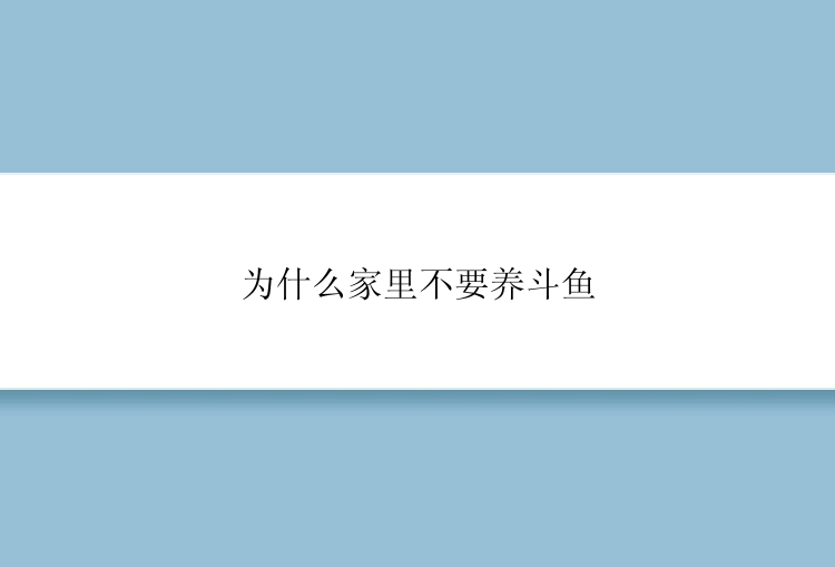 为什么家里不要养斗鱼