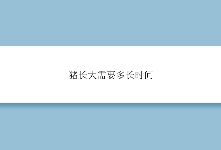 猪长大需要多长时间