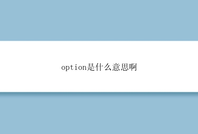 option是什么意思啊