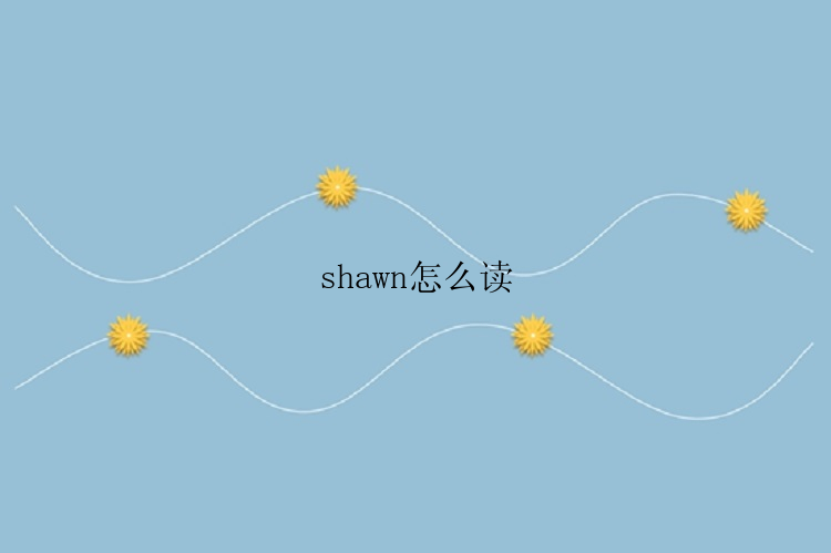 shawn怎么读