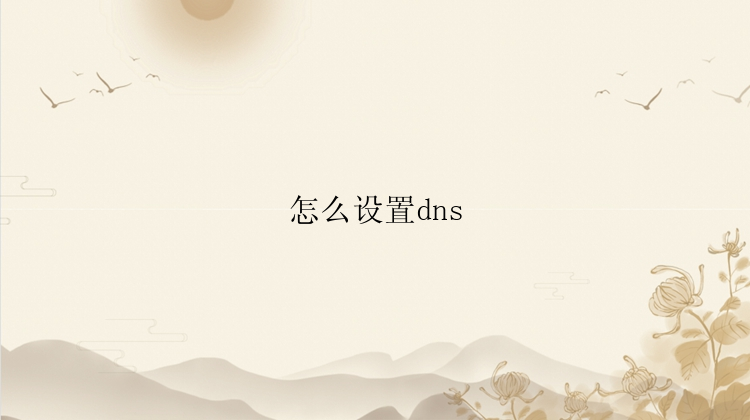 怎么设置dns