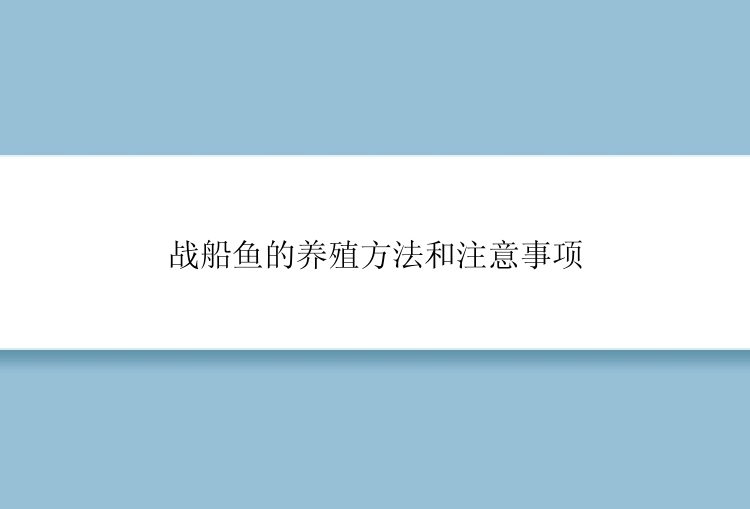 战船鱼的养殖方法和注意事项