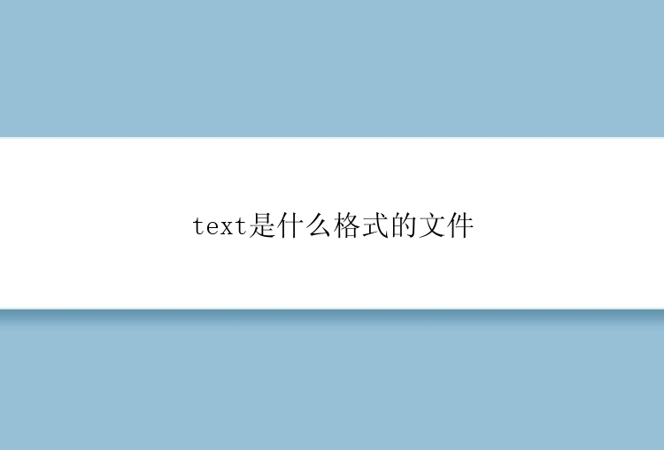 text是什么格式的文件