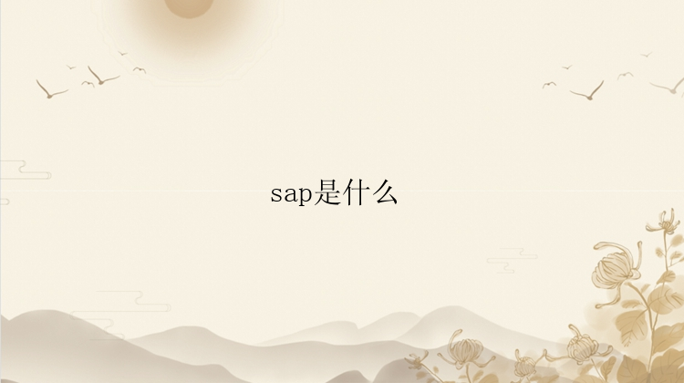 sap是什么 