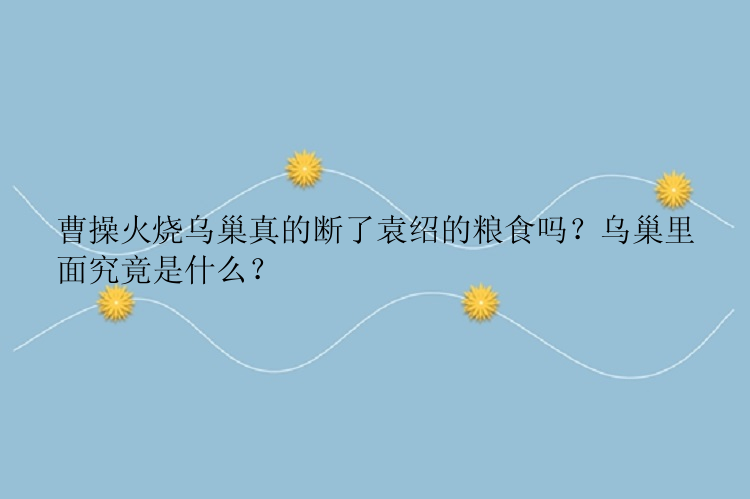 曹操火烧乌巢真的断了袁绍的粮食吗？乌巢里面究竟是什么？