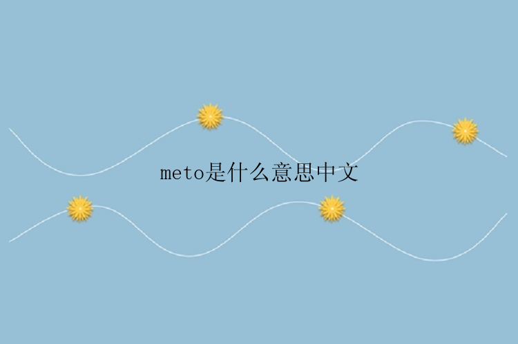 meto是什么意思中文