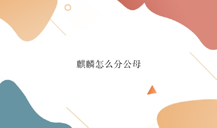 麒麟怎么分公母