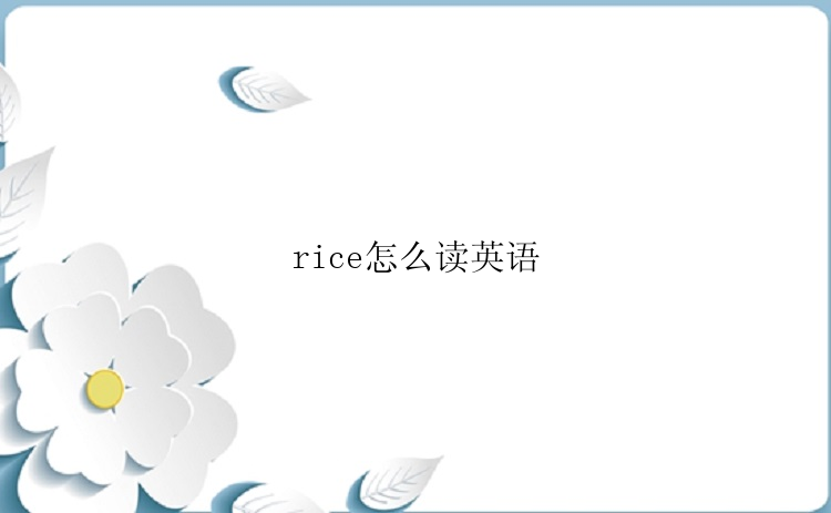 rice怎么读英语
