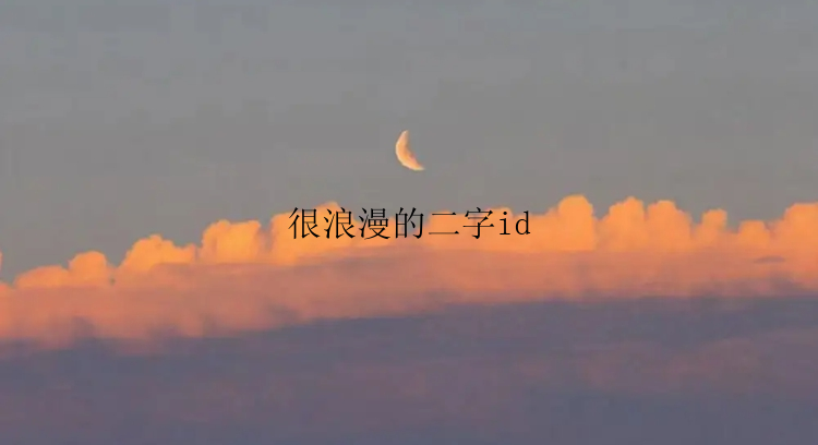 很浪漫的二字id