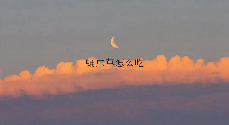 蛹虫草怎么吃