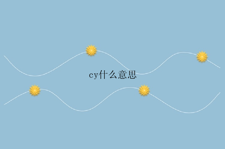 cy什么意思