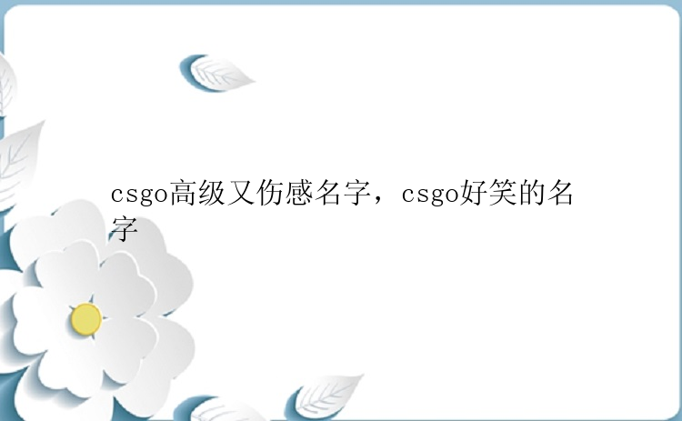 csgo高级又伤感名字，csgo好笑的名字