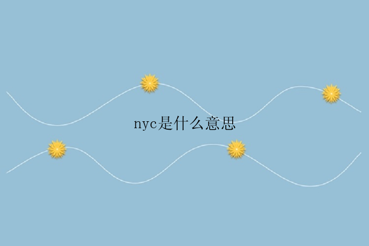 nyc是什么意思