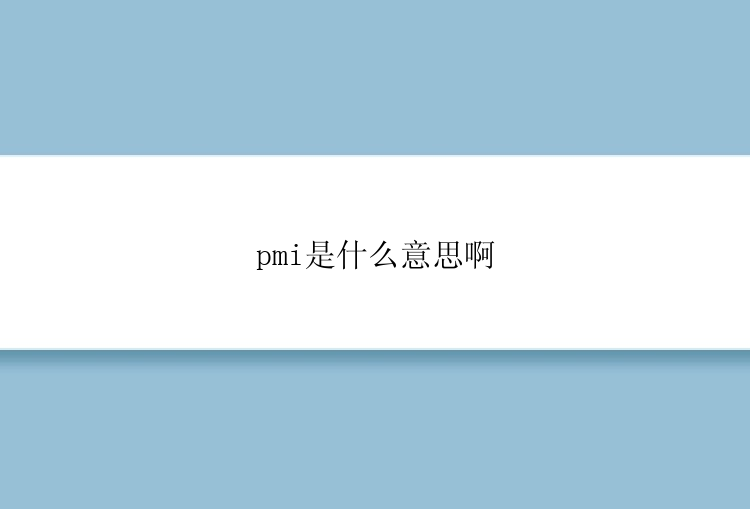 pmi是什么意思啊