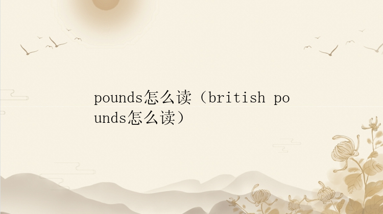 pounds怎么读（british pounds怎么读）