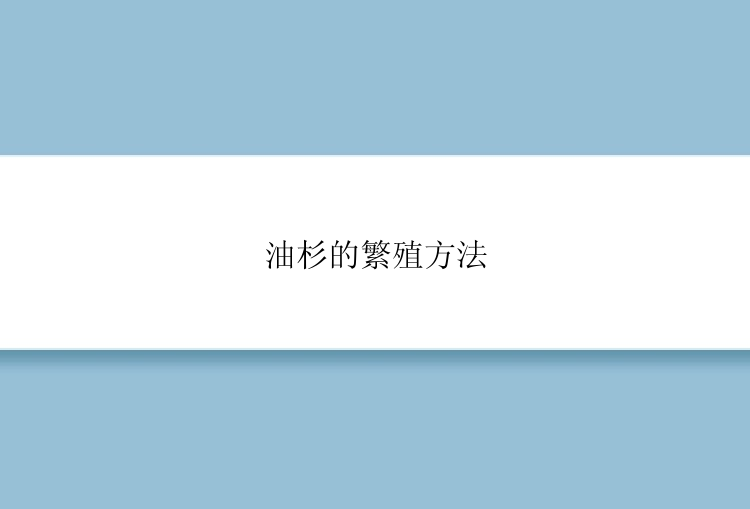 油杉的繁殖方法