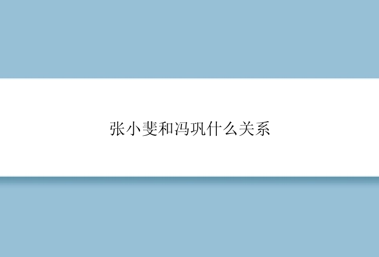 张小斐和冯巩什么关系