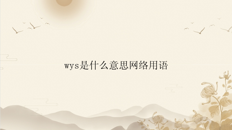 wys是什么意思网络用语