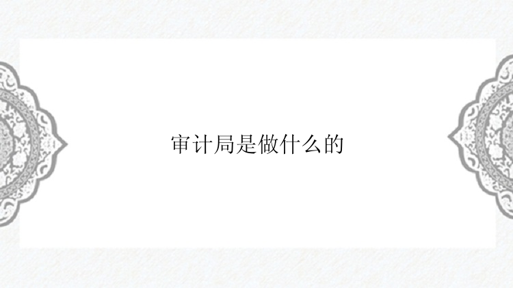 审计局是做什么的