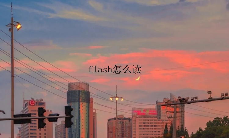 flash怎么读