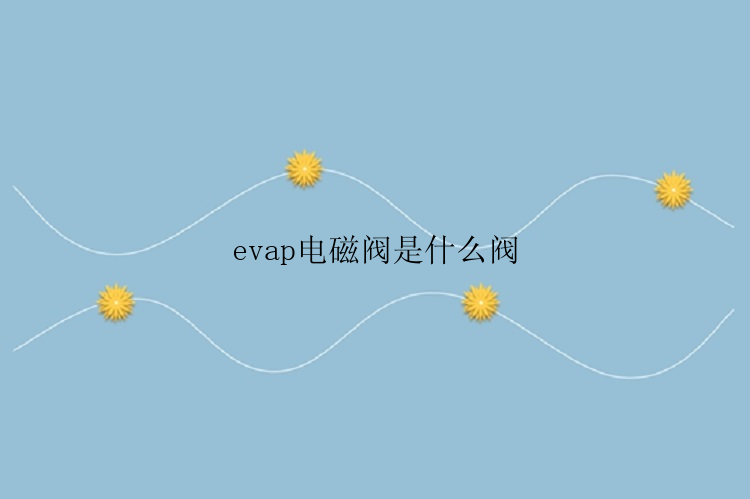 evap电磁阀是什么阀