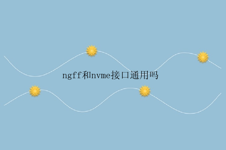 ngff和nvme接口通用吗 