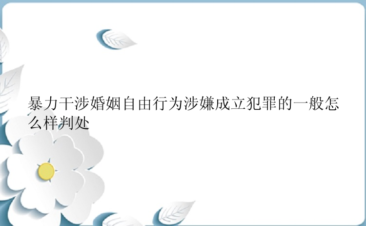 暴力干涉婚姻自由行为涉嫌成立犯罪的一般怎么样判处