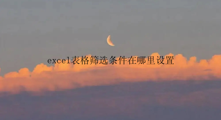 excel表格筛选条件在哪里设置