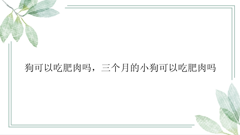 狗可以吃肥肉吗，三个月的小狗可以吃肥肉吗