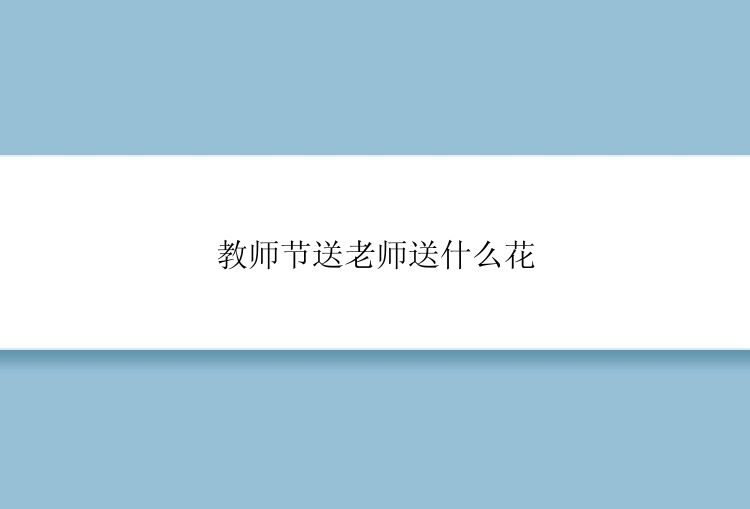 教师节送老师送什么花