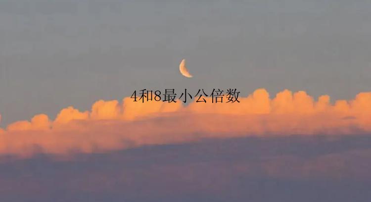 4和8最小公倍数