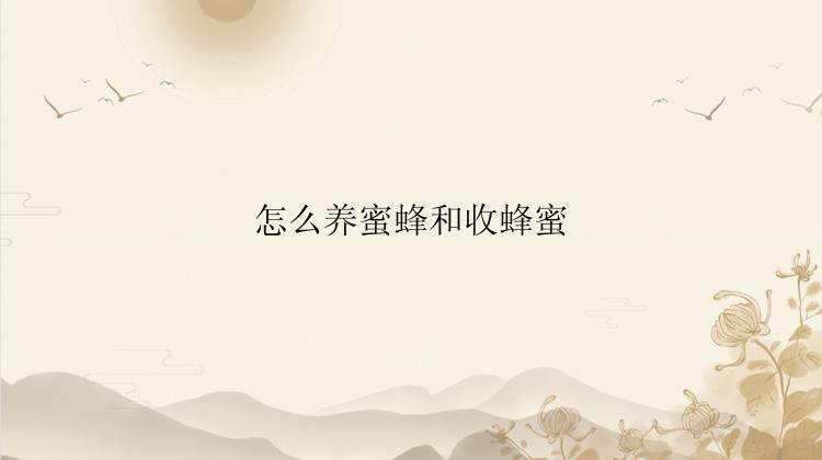 怎么养蜜蜂和收蜂蜜