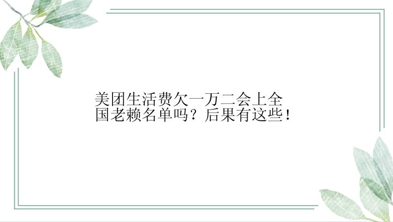 美团生活费欠一万二会上全国老赖名单吗？后果有这些！