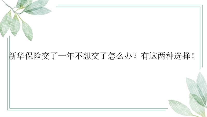 新华保险交了一年不想交了怎么办？有这两种选择！