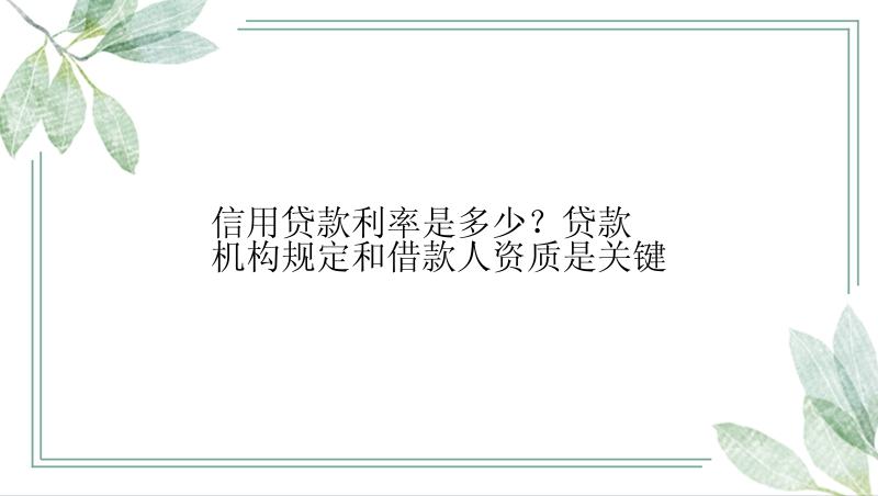 信用贷款利率是多少？贷款机构规定和借款人资质是关键