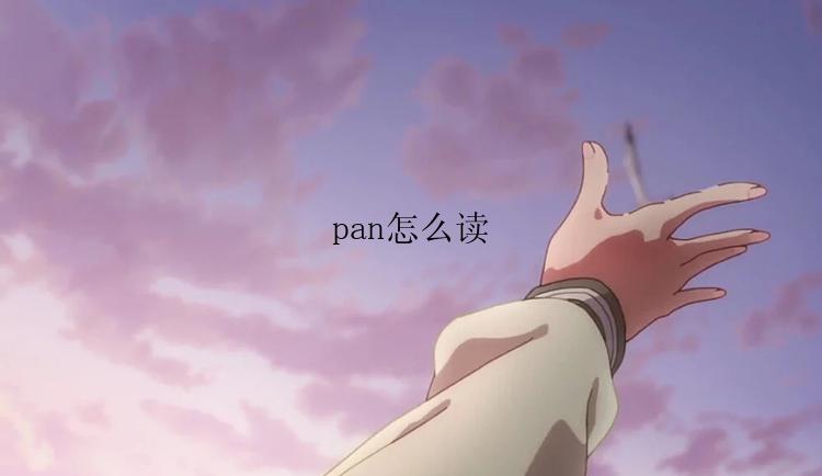 pan怎么读