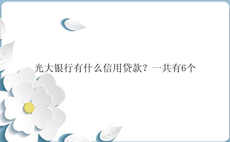 光大银行有什么信用贷款？一共有6个